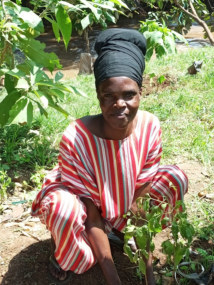 A community member planting a tree seedling